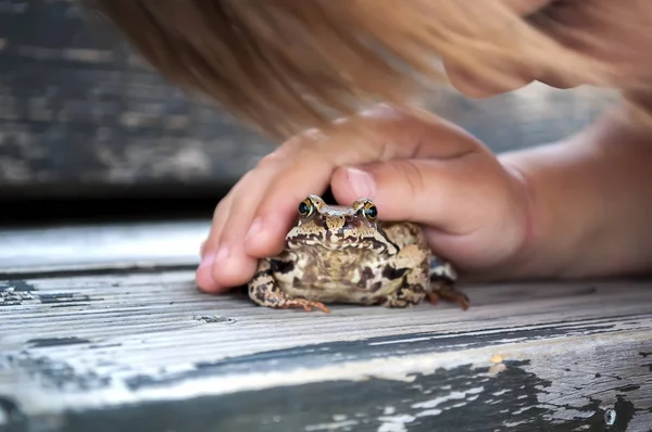 Niedliches kleines Mädchen, das mit einer Froschkröte spielt — Stockfoto