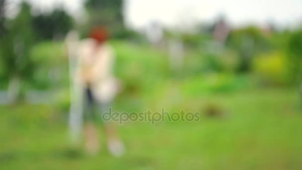 Kobieta z prowizji zbiera suchej trawy na łące, na farmie lub w ogrodzie w letni dzień, niewyraźne, rozmyte wideo — Wideo stockowe