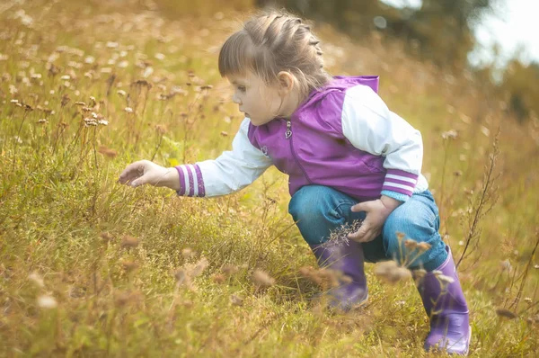 Девушка ловит кузнечика в траве в парке — стоковое фото