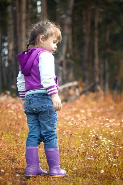 Hermoso retrato de otoño al aire libre de adorable niña — Foto de Stock