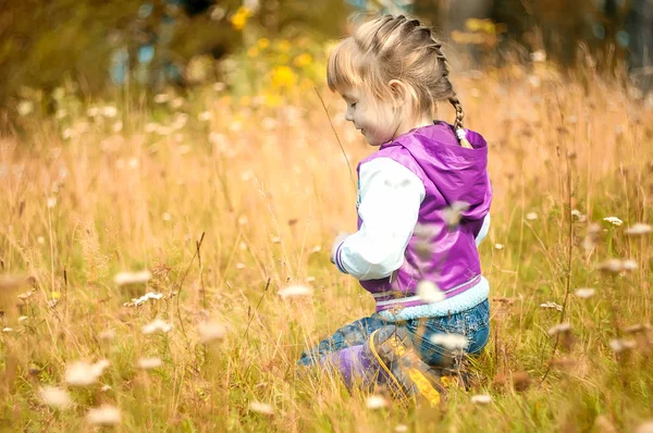 Schöne Outdoor-Herbst Porträt von entzückenden Kleinkind Mädchen — Stockfoto