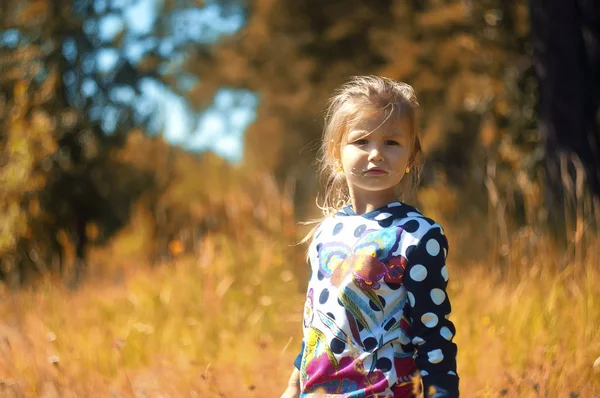 Chica en el hermoso parque, con una red captura mariposas, sonrisas y risas, humor juguetón, bromas infantiles — Foto de Stock