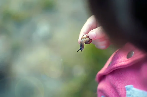 Mão de criança segurando o caracol . — Fotografia de Stock