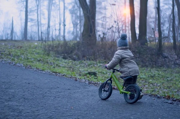 Sevimli küçük kız runbike ormanda sürme — Stok fotoğraf