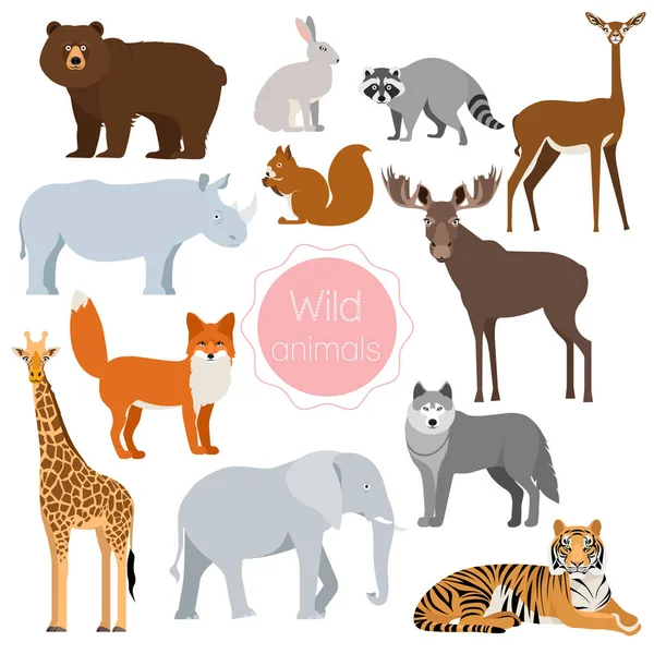 Wildtiere gesetzt. Fuchs, Nashorn, Elefant, Bär isoliert — Stockvektor