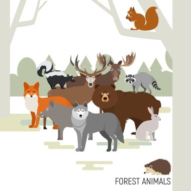 Forest animals composition. Moose, wild boar, bear, fox, rabbit, wolf, skunk, raccoon, deer, squirrel, hedgehog. Vector