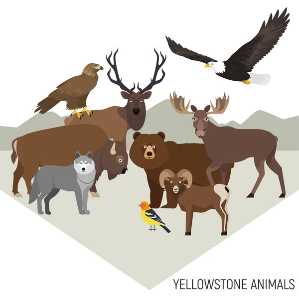 Animales del Parque Nacional Yellowstone. Grizzly, alce, alce, oso, lobo, águila de oro, bisonte, oveja de cuerno grande, águila calva — Vector de stock