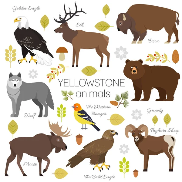 Yellowstone National Park animals set grizzly, moose, elk, bear, wolf, golden eagle, bison, bighorn sheep, bald eagle, western tanager, isolated on transparent background vector illustration. — Stock Vector