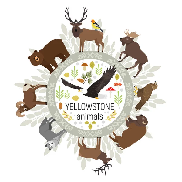 Kreis-Vektorschablone der Yellowstone-Nationalpark-Tiere Grizzly, Elch, Elch, Bär, Wolf, Steinadler, Bison, Dickhornschaf, Weißkopfseeadler, Westerntanager, isoliert auf transparentem Hintergrund — Stockvektor