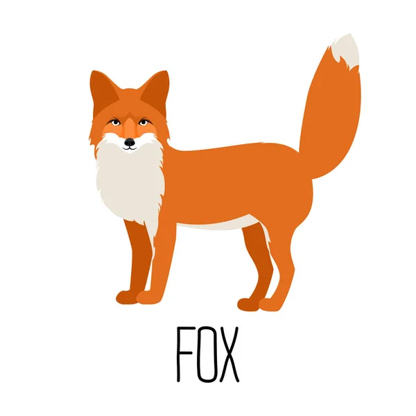 Vektor Illustration von niedlichen Cartoon Fox isoliert — Stockvektor