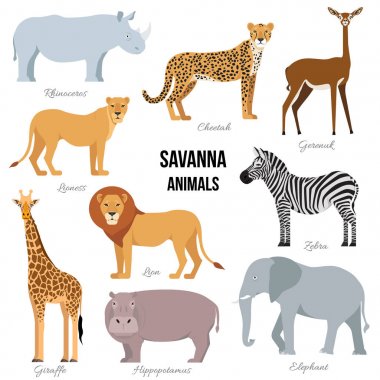 Savana fil, Gergedan, zürafa, çita, zebra, aslan, su aygırı izole, Afrika hayvanları. Vektör çizim