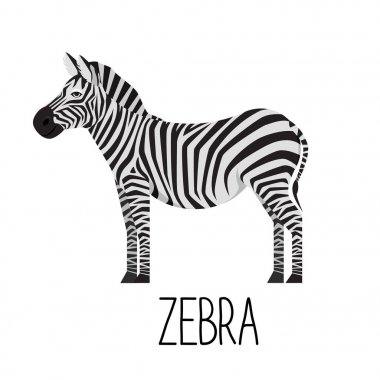 Çizgi film sevimli zebra vektör düz çizim