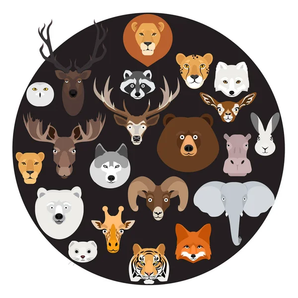 Big animal face icon circle set on black background. Cartoon heads of fox, rhino, bear, raccoon, hare, lion, owl, rabbit, wolf, hippo, elephant, tiger, giraffe, moose, deer, elk, sheep, ram, ermine — Stock Vector