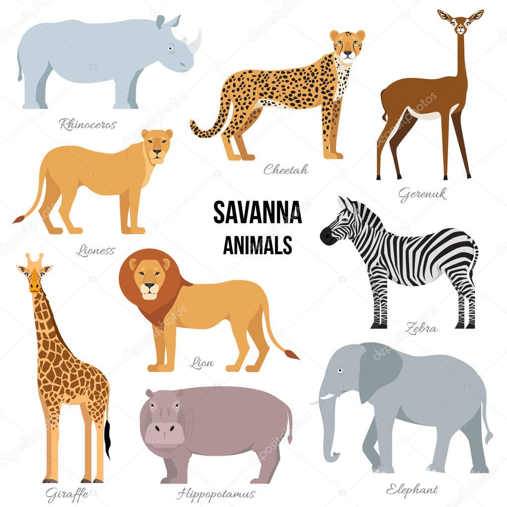 Vettoriale stockAnimali africani di elefante savana, rinoceronte, giraffa,  ghepardo, zebra, leone, ippopotamo isolati. Illustrazione vettoriale di  ©vafolomeija #150419614, image size:1024x1024