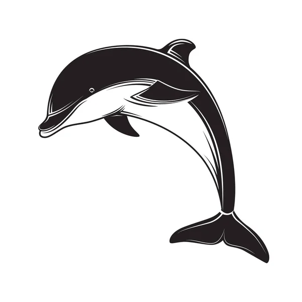 Ícone de golfinho silhueta preta. emblema e rótulo do golfinho —  Vetores de Stock