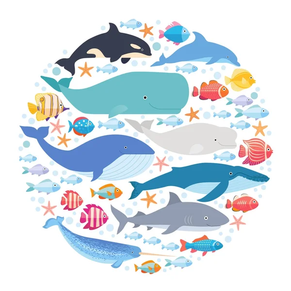 Mamíferos marinos y peces en círculo. Narval, ballena azul, delfín, beluga, ballena jorobada, cabeza de chorlito y vector de cachalote aislados — Vector de stock