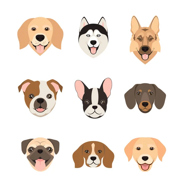 Ícones de cabeça de cão de estilo plano. Caras de cães de desenhos animados definidas. Ilustração vetorial isolada sobre branco —  Vetores de Stock