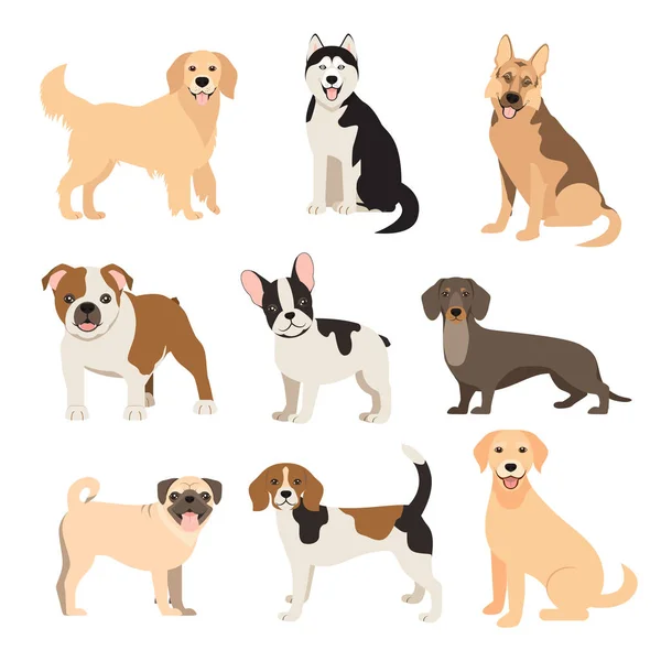 Colección de perros de estilo plano. Dibujos animados perros razas conjunto. Ilustración vectorial aislada en blanco — Archivo Imágenes Vectoriales