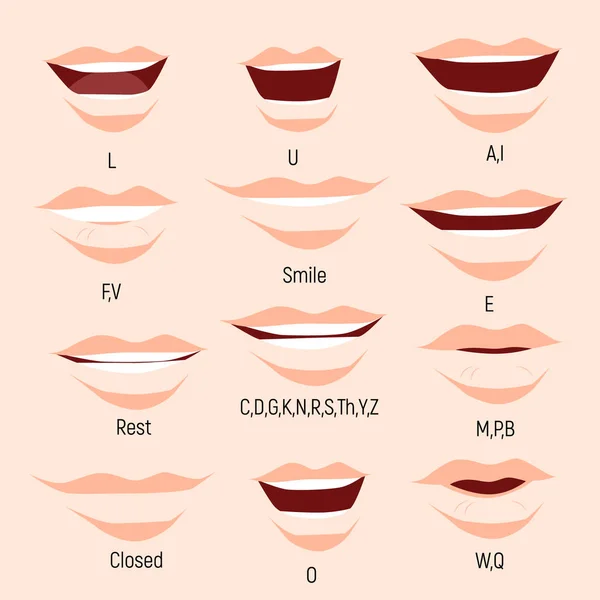 Male mouth animation. Phoneme mouth chart. Alphabet prononciation — Stock Vector