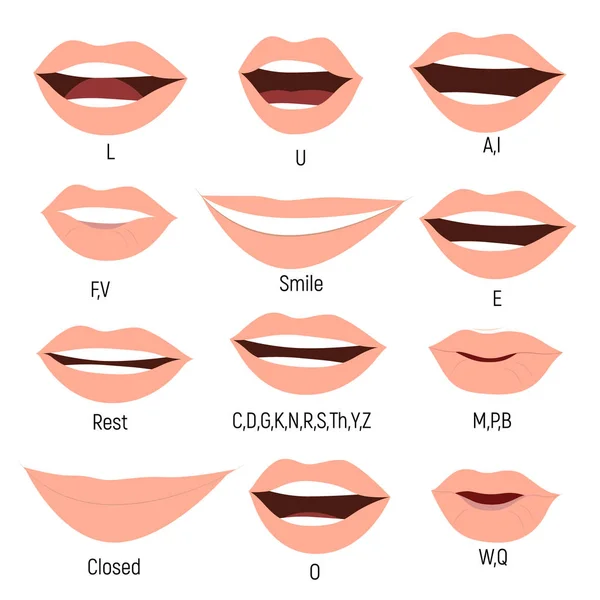 Famale mouth animation. Phoneme mouth chart. Alphabet prononciation — Stock Vector