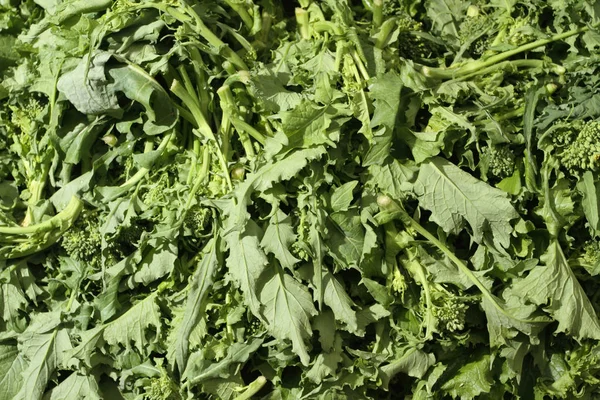 turnip greens for sale on the grocery store's bank