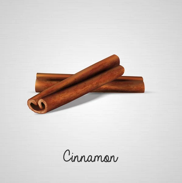 Cinnamon sticks on white background — Stock Vector