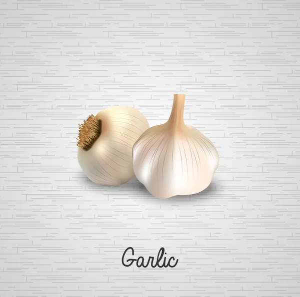 Fresh garlic illustration — Stock vektor