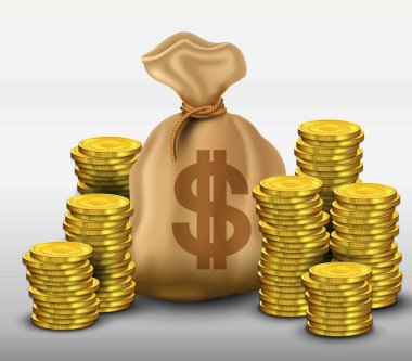 Dolar para çantası ile altın paralar 