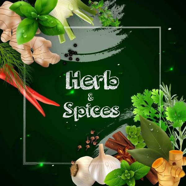 Especias y hierbas en el fondo verde — Vector de stock