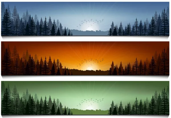 Ensemble de bannières de paysages forestiers — Image vectorielle