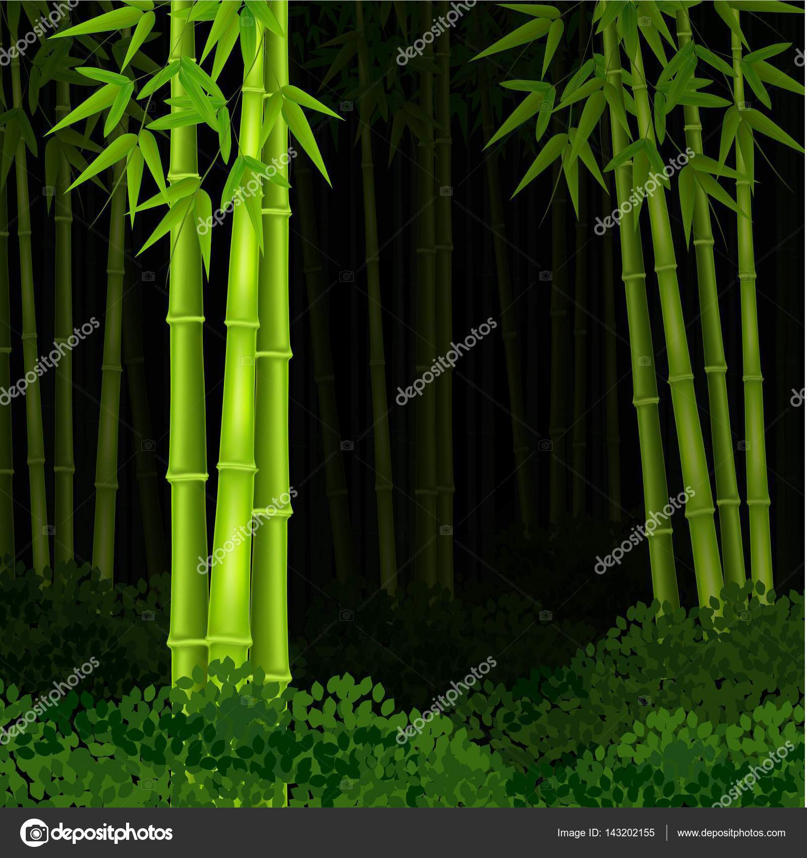 夜晚竹林 Www Shianwang Com 夜晚竹林 Www Shianwang Com