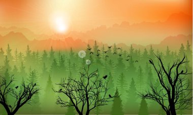 Gün batımında dağ orman arka plan