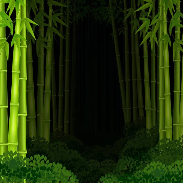 Fundo floresta de bambu à noite —  Vetores de Stock