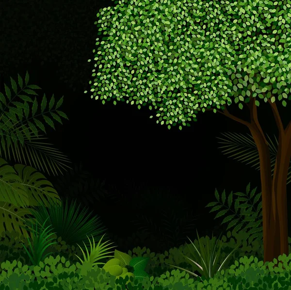 Egzotyczny las tropikalny — Stok Vektör