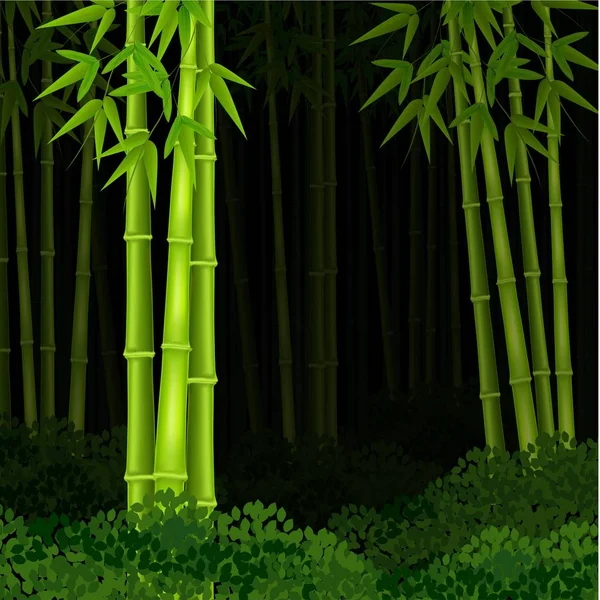 Fondo bosque de bambú en la noche — Vector de stock