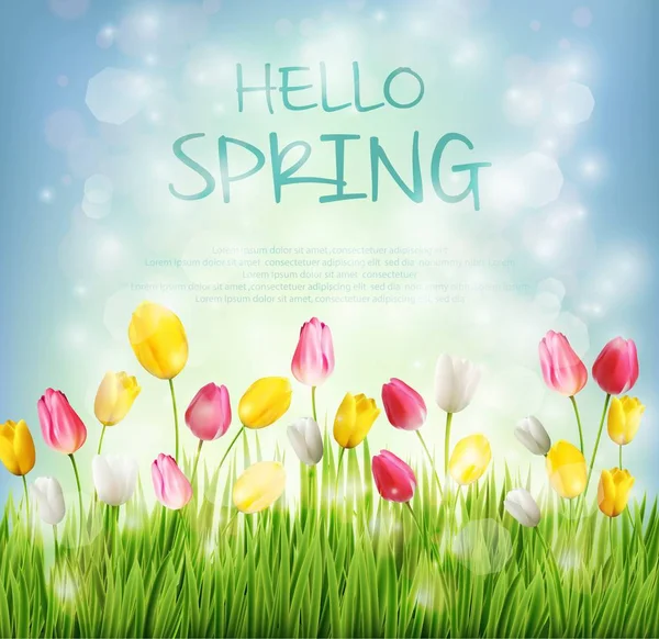 Hallo Frühling mit Tulpenblume auf verschwommenem Hintergrund — Stockvektor