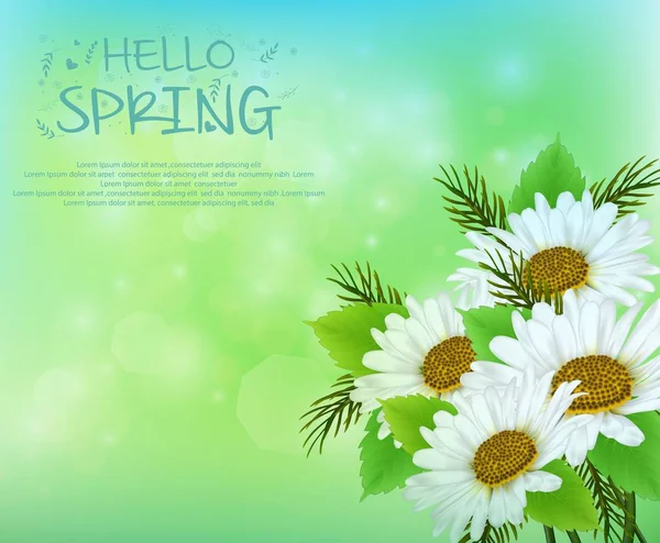 Frühling Hintergrund mit Gänseblümchen Blumen — Stockvektor