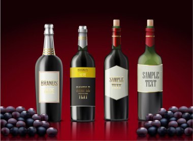 Şişe şampanya ve üzüm kümesi