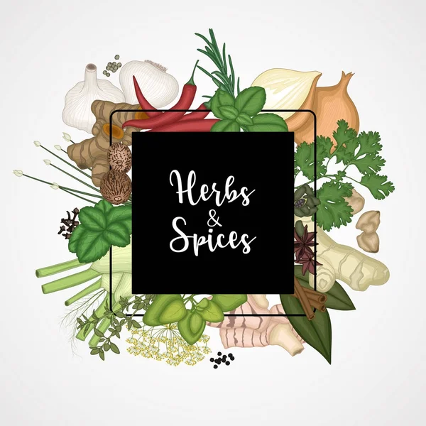 Baharatlar ve otlar ile kare tasarım arka plan