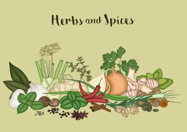 Herbes et épices fond — Image vectorielle