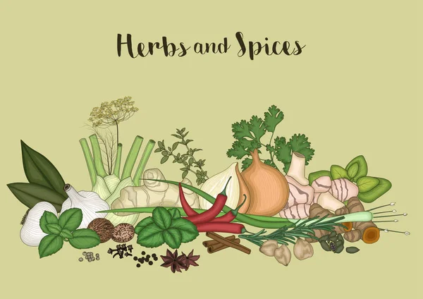 Herbs and spices background — Stock Vector