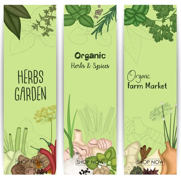 Banner vertical con especias y hierbas — Vector de stock