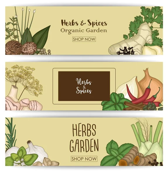 Set de pancartas horizontales con especias y hierbas — Vector de stock