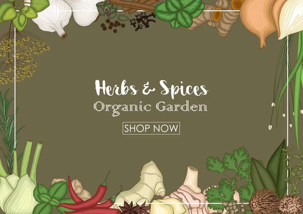 Otlar ve baharatlar dekoratif arka plan