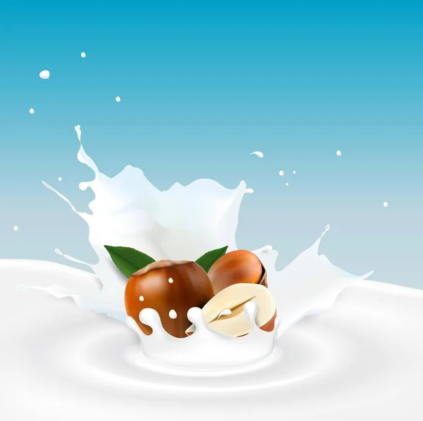 Salpicadura de leche con avellana — Vector de stock