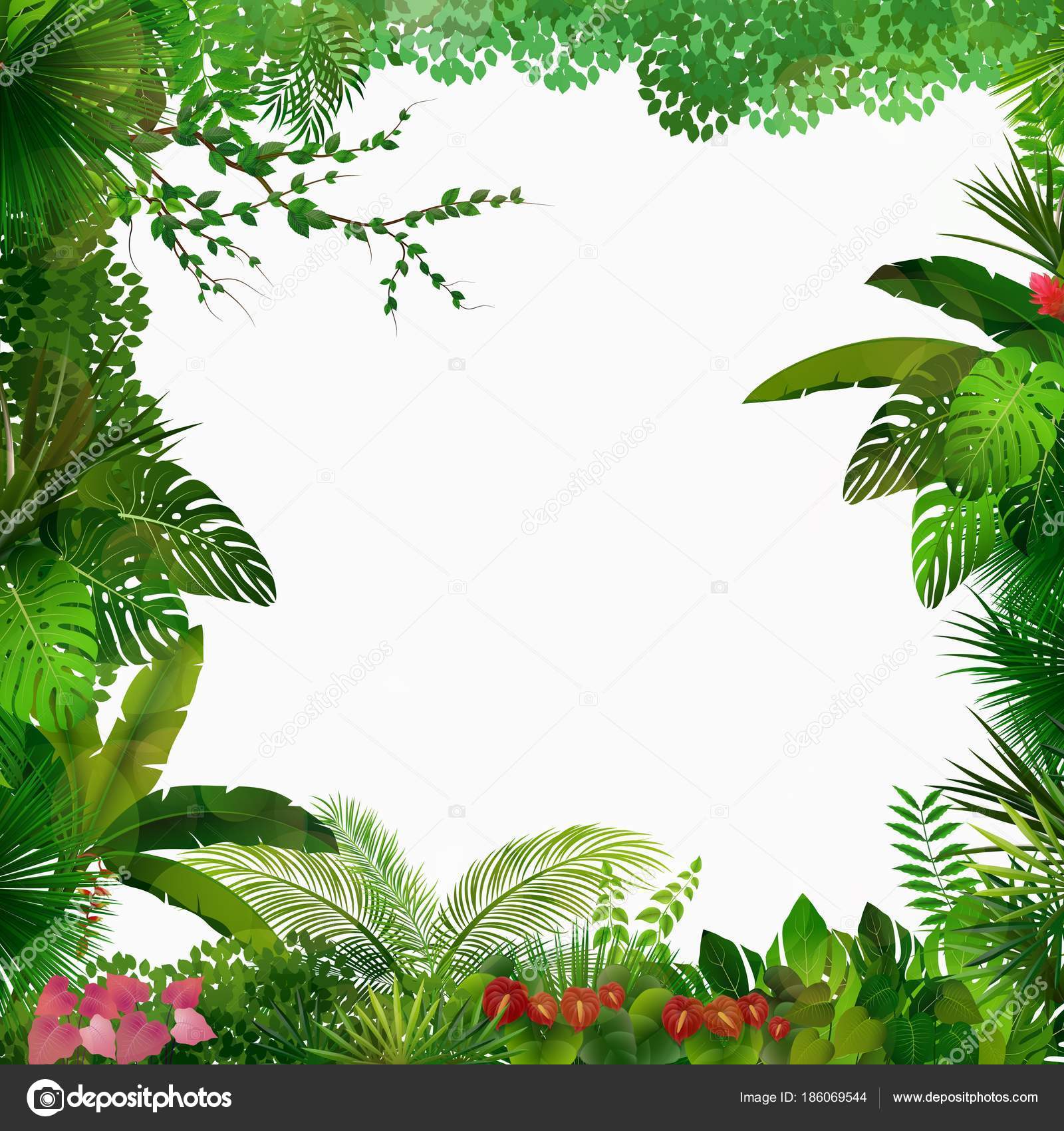 Ilustración Vectorial Selva Tropical Sobre Fondo Blanco Vector de stock  #186069544 de ©artnovi, image size:1600x1700