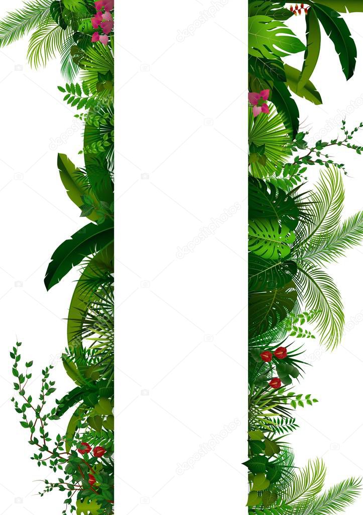 Vector illustration of Tropical leaves background. Rectangle plants frame with space for text. Tropical foliage with vertical banner