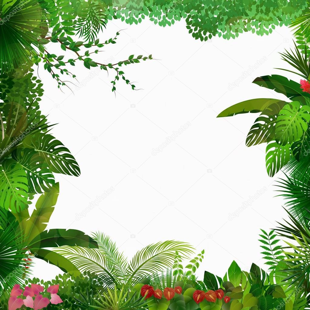 Vector illustration of Tropical jungle on white background