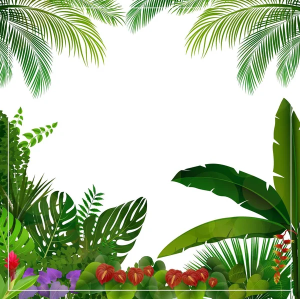 Illustration Vectorielle Jungle Tropicale Sur Fond Blanc — Image vectorielle