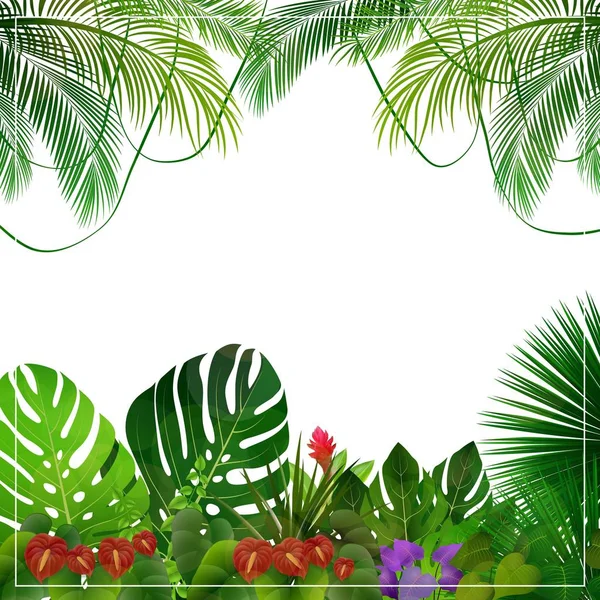 Illustration Vectorielle Jungle Tropicale Avec Des Palmiers Des Feuilles Sur — Image vectorielle